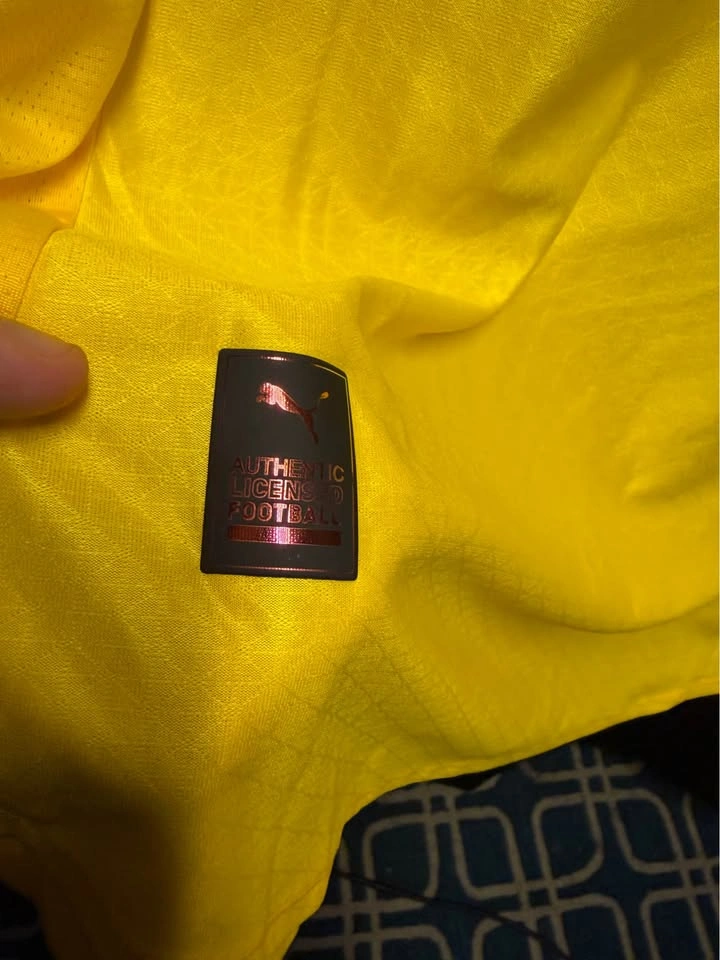 Adeyemi Borussia Dortmund 2025-26 Home Jersey - Large - photo 3
