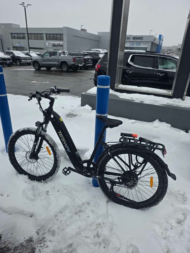 Tesway Ebike