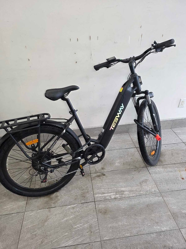 Tesway Ebike - photo 2