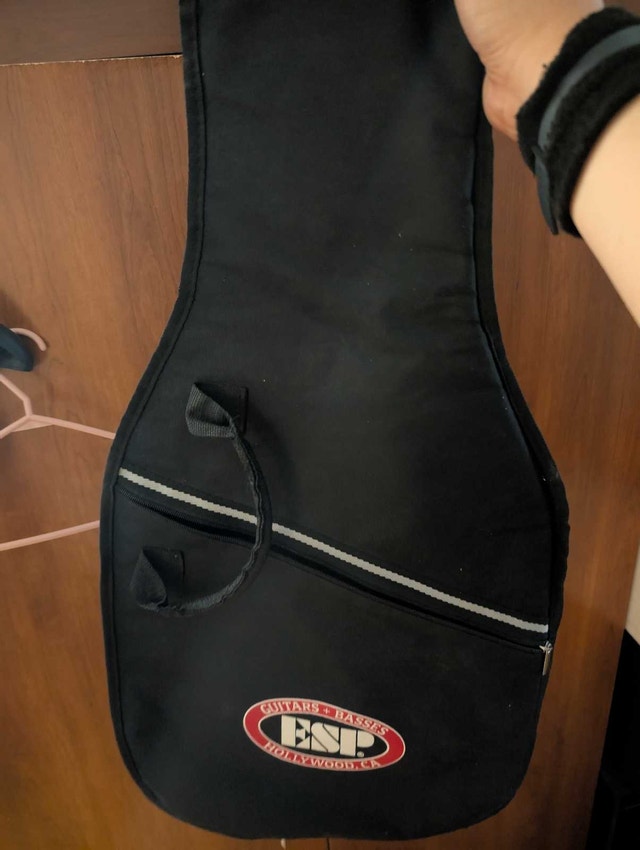 ESP Guitar Bag