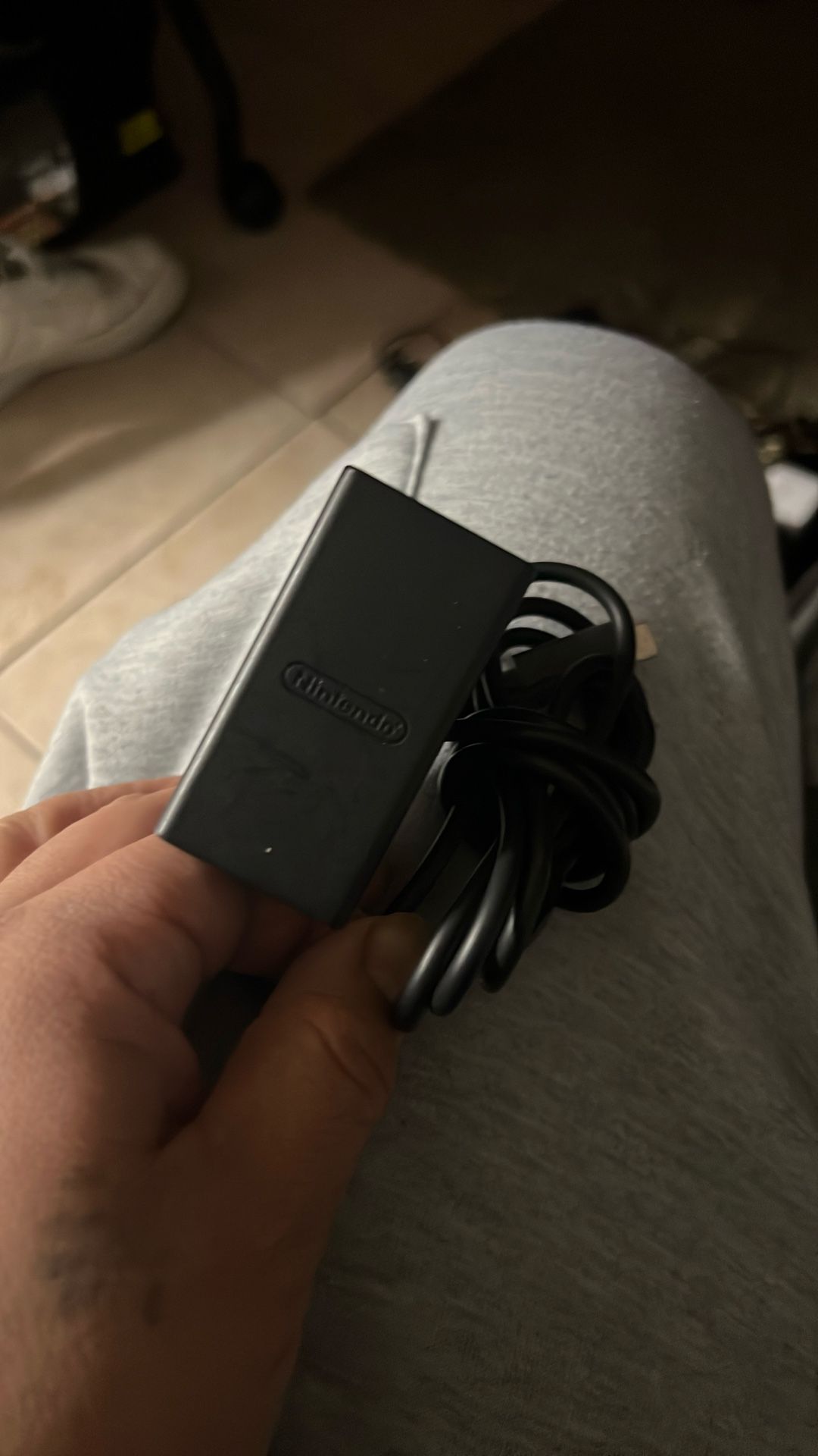 Nintendo Switch Charger
