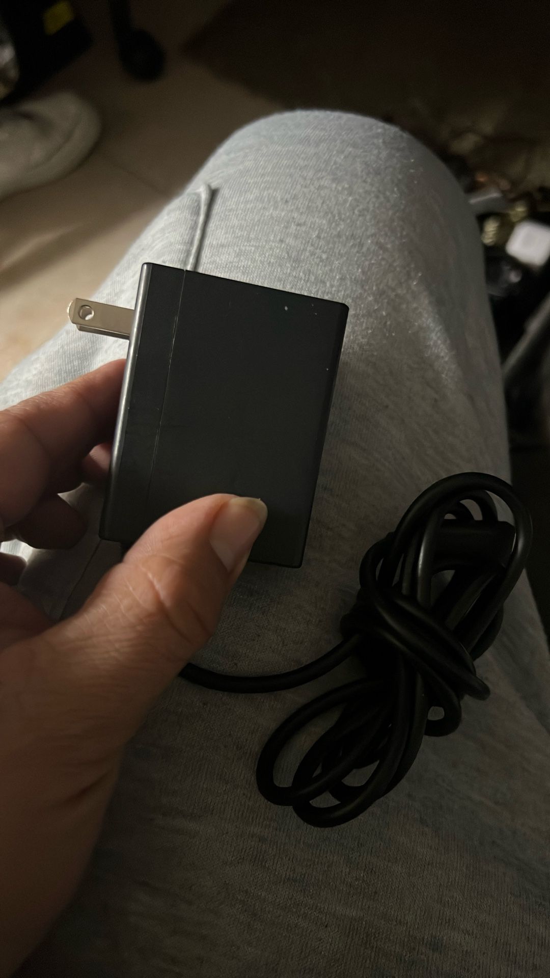 Nintendo Switch Charger - photo 2