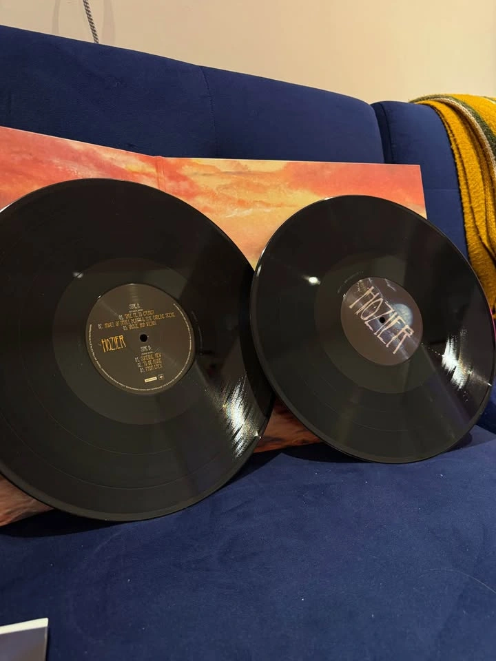 Hozier (Vinyl) - photo 3