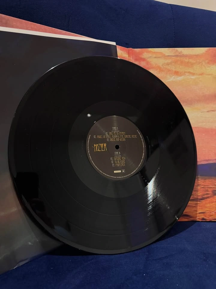 Hozier (Vinyl) - photo 5