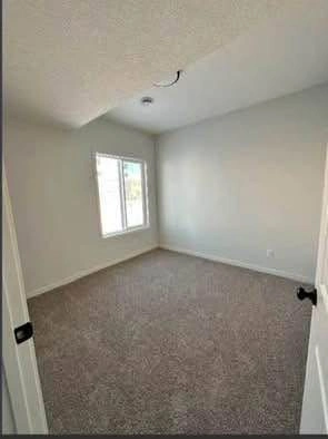Basement - photo 3