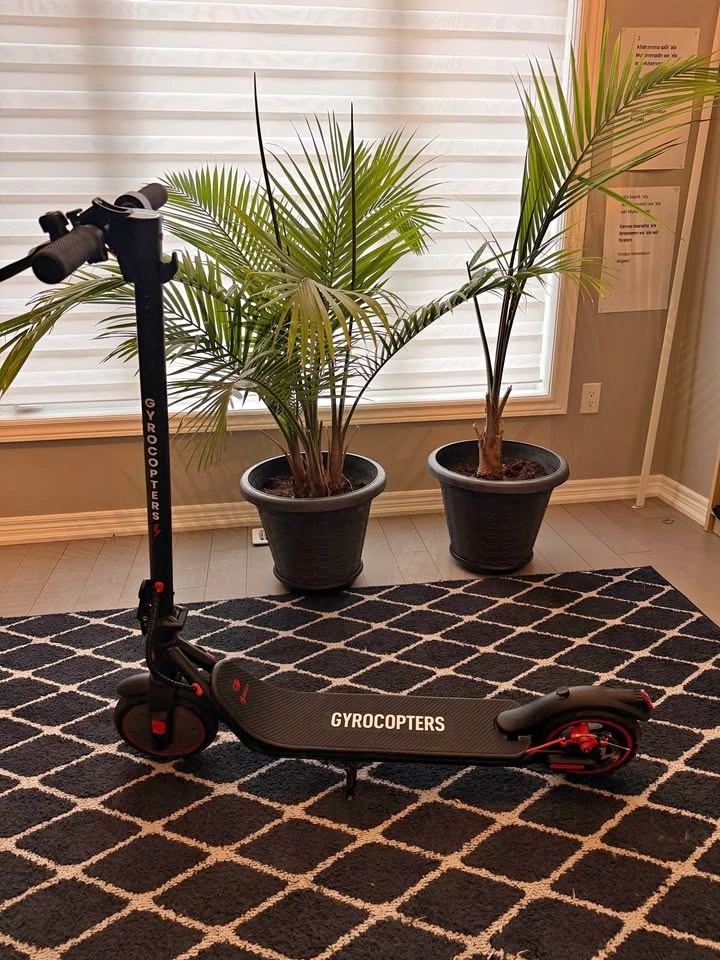 Gyrocopters Flash 6.0 E-Scooter