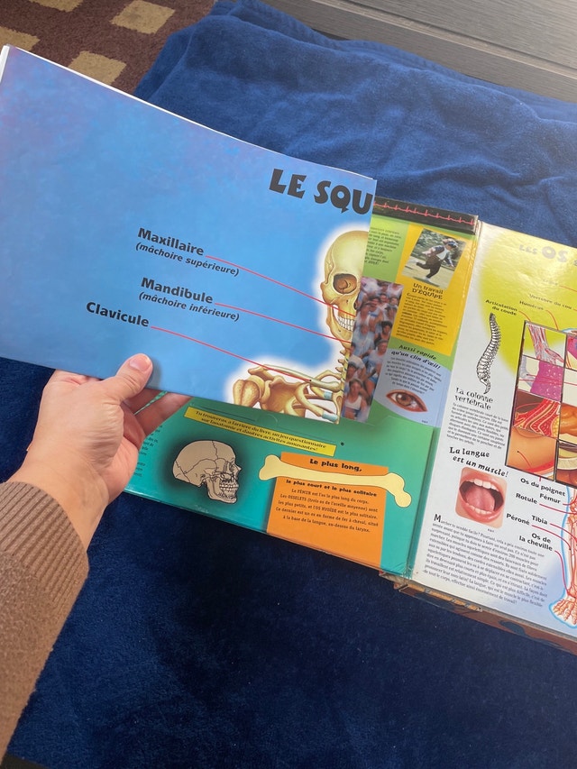 Human Body Book with Puzzles, Blocks, and Flashcards - photo 2