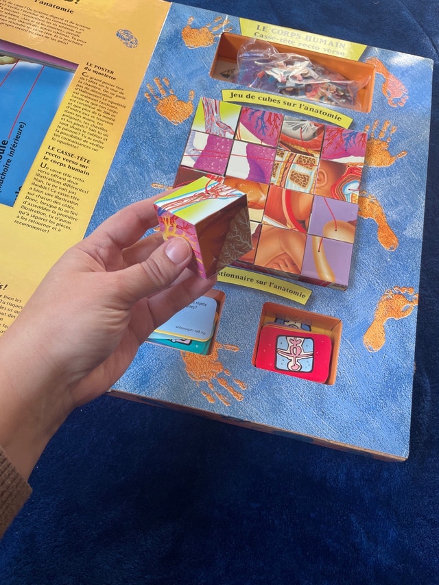 Human Body Book with Puzzles, Blocks, and Flashcards - photo 3