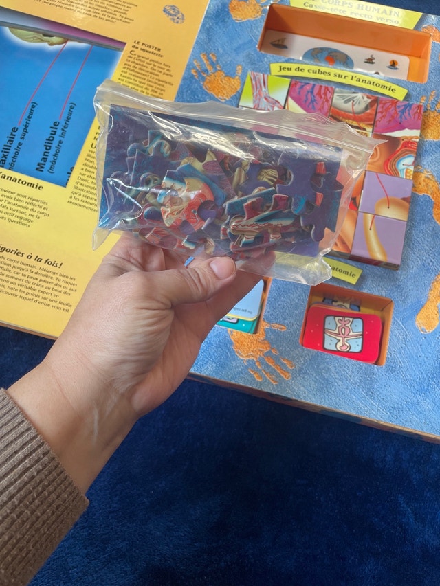 Human Body Book with Puzzles, Blocks, and Flashcards - photo 4