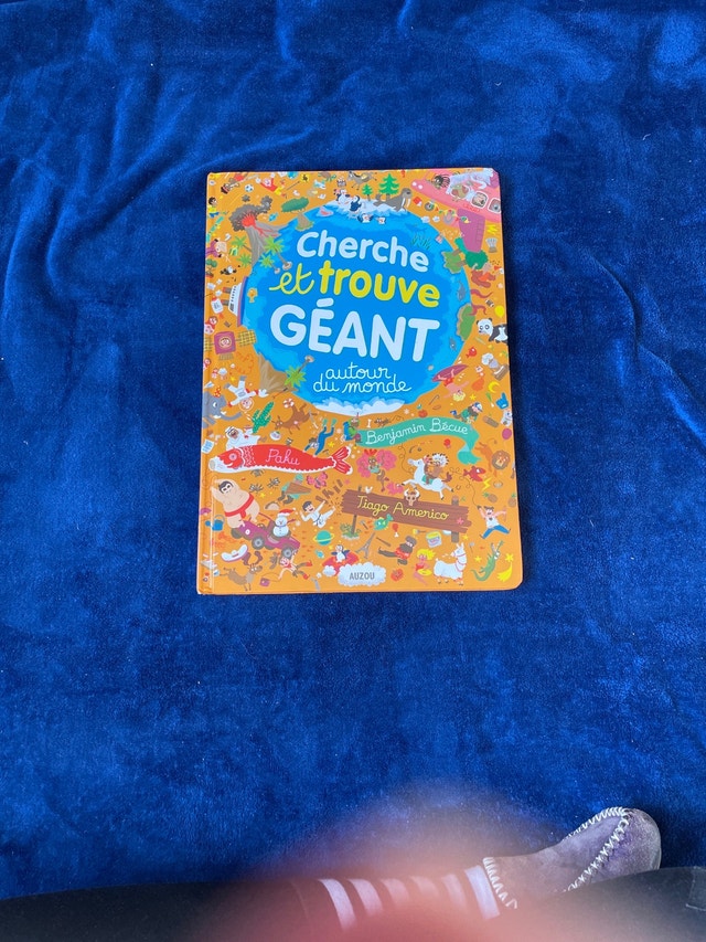 Cherche et Trouve Geant