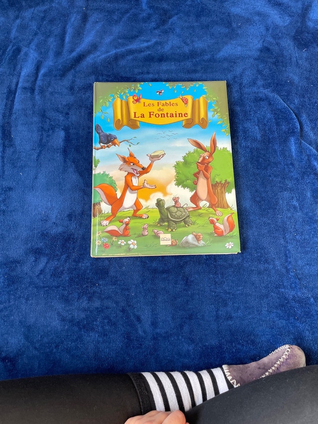 Les Fables de la Fontaine Hardcover Book