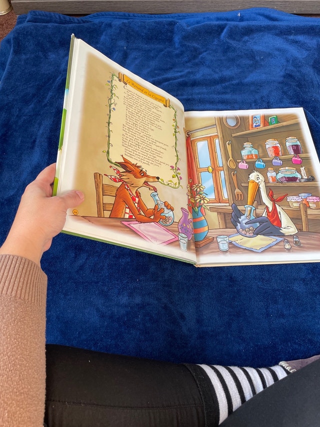 Les Fables de la Fontaine Hardcover Book - photo 5