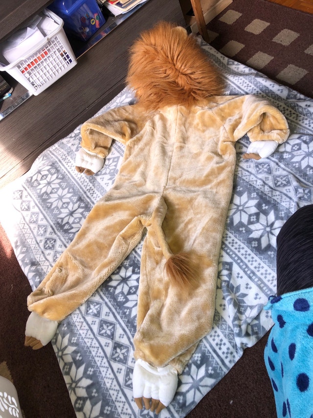 Lion Costume Size 3-5 - photo 2