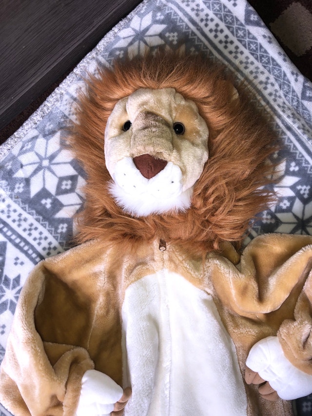 Lion Costume Size 3-5 - photo 3