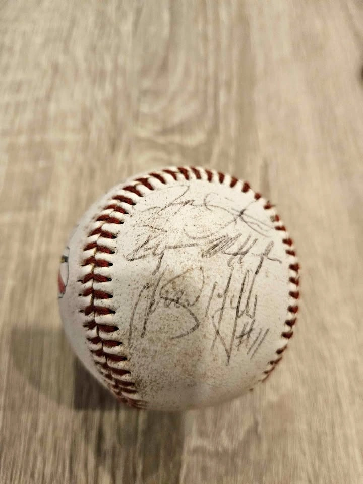 1995 St. Louis Cardinals Minor League Souvenir Baseball - Vintag