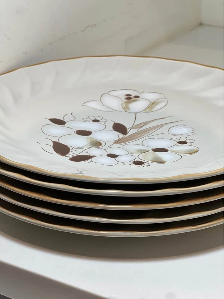 Hearthside Felicity Stoneware Dinner Plates - Set of 5 - photo 5