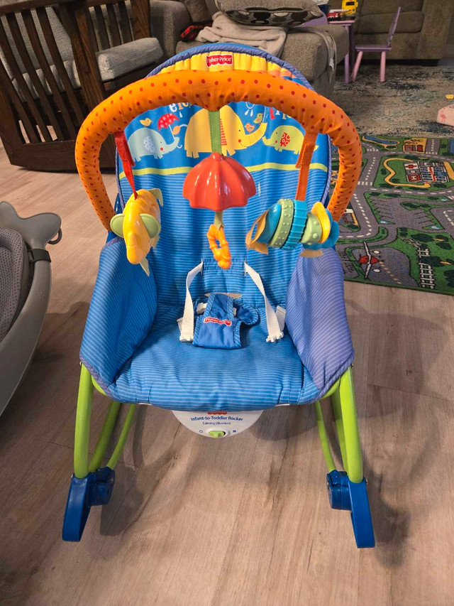 Infant to Toddler Rocker