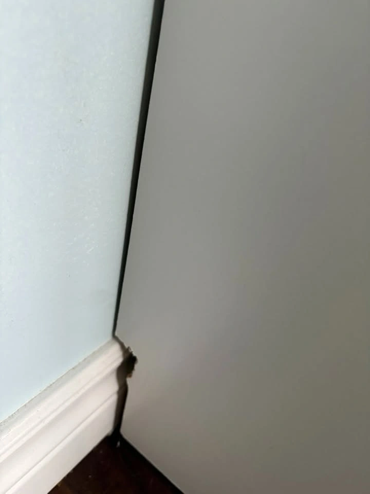 Ikea Bissa Shoe Cabinet / Dresser - Moving next week! - photo 4