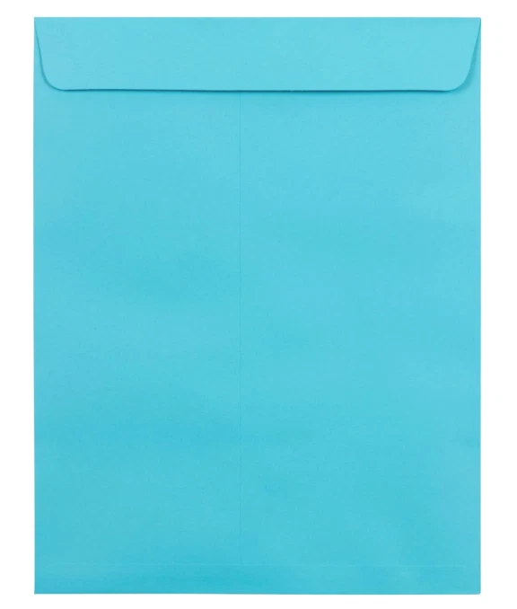 JAM Paper 9x12 Catalog Envelopes (25 ct) - photo 3