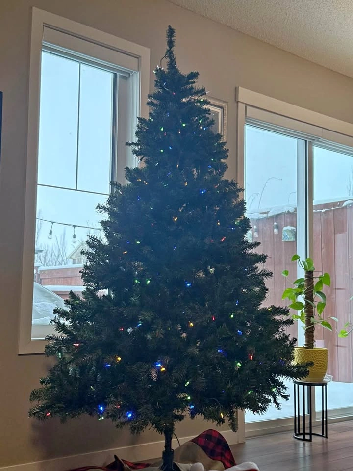 Pre lit 6 ft Christmas tree