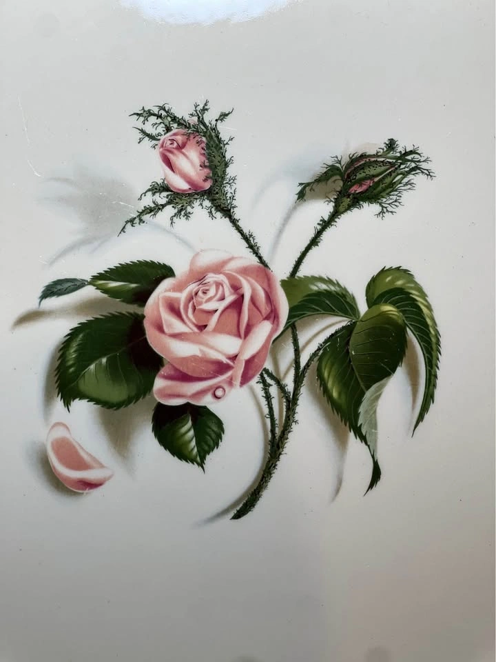 Vintage 1950s Moss Rose Platter | Ballerina Universal Potteries - photo 2