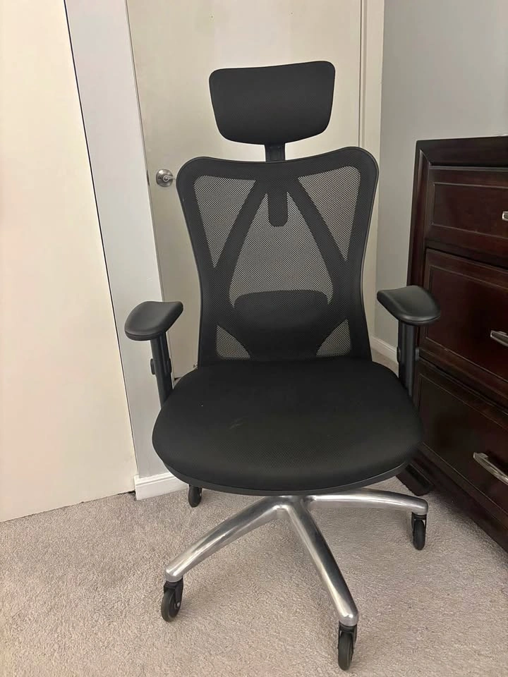 Ergonomic Office Chair
