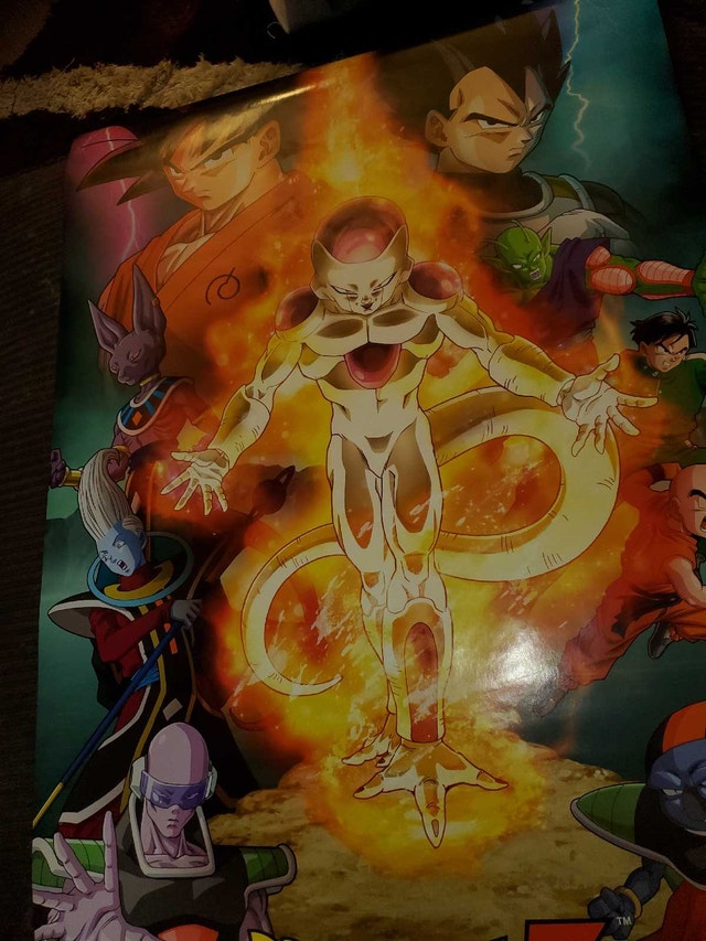 Assorted Posters - photo 4