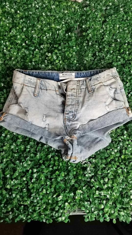 ONE X ONETEASPOON Distressed Denim Shorts Size 22