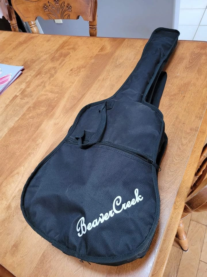 Beaver Creek Guitar - photo 3