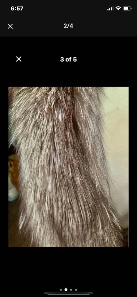 Silver FOX fur vest WOOL stunning luxurious - photo 2