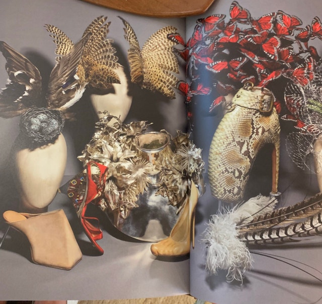 Alexander McQueen NEW Designer Art Photography Book - photo 5