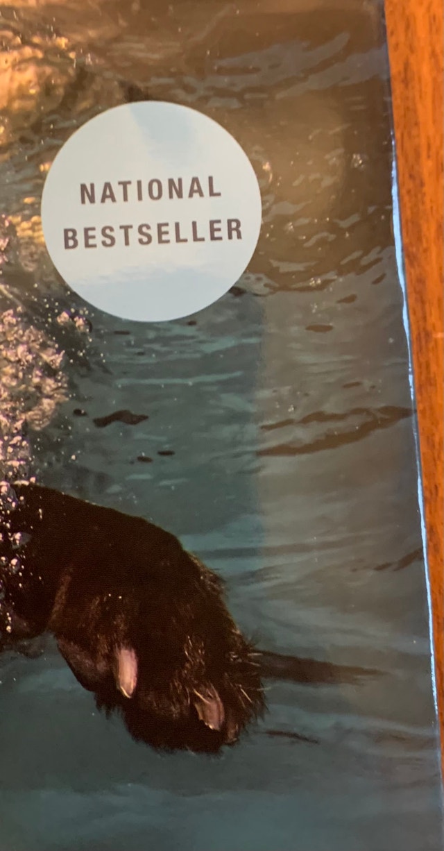 Book DOGS UNDERWATER new pets animals photography - photo 3