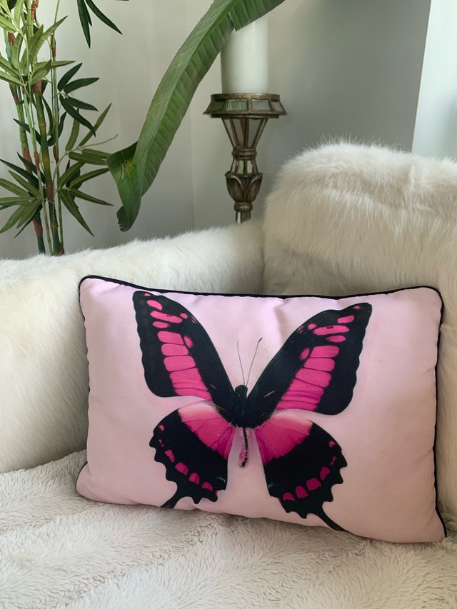 Designer Silk Pillow - Modern Retro Butterfly