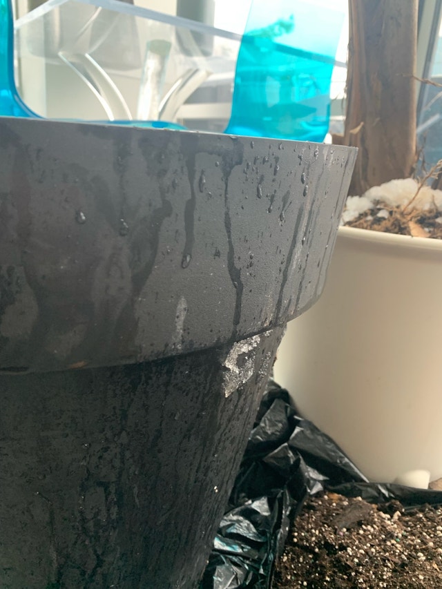 XL Planter Pot - Indoor/Outdoor - photo 2