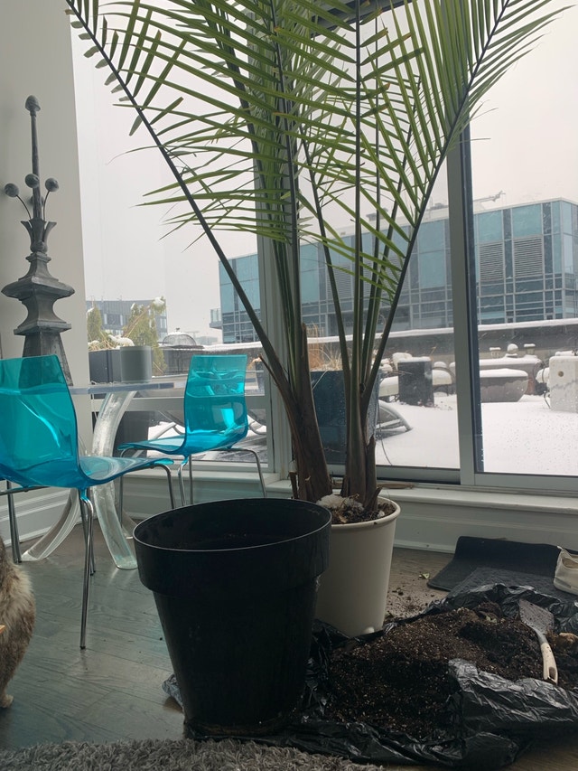 XL Planter Pot - Indoor/Outdoor - photo 3