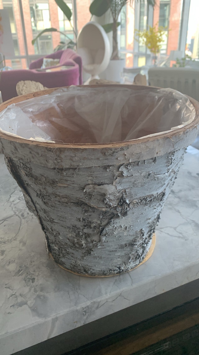 Birch Bark Plant Pot Container Rustic Canadiana Waste Basket