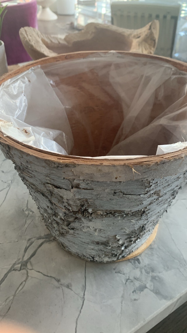 Birch Bark Plant Pot Container Rustic Canadiana Waste Basket - photo 3