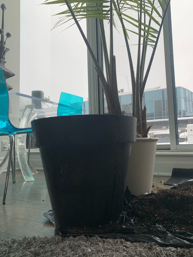 XL Planter Pot - Indoor/Outdoor