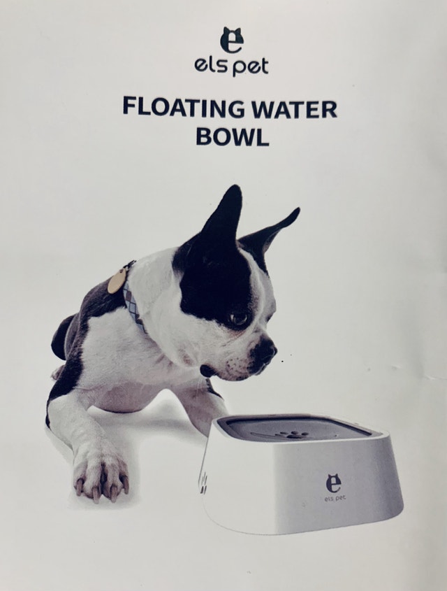 Dog bowl no splash