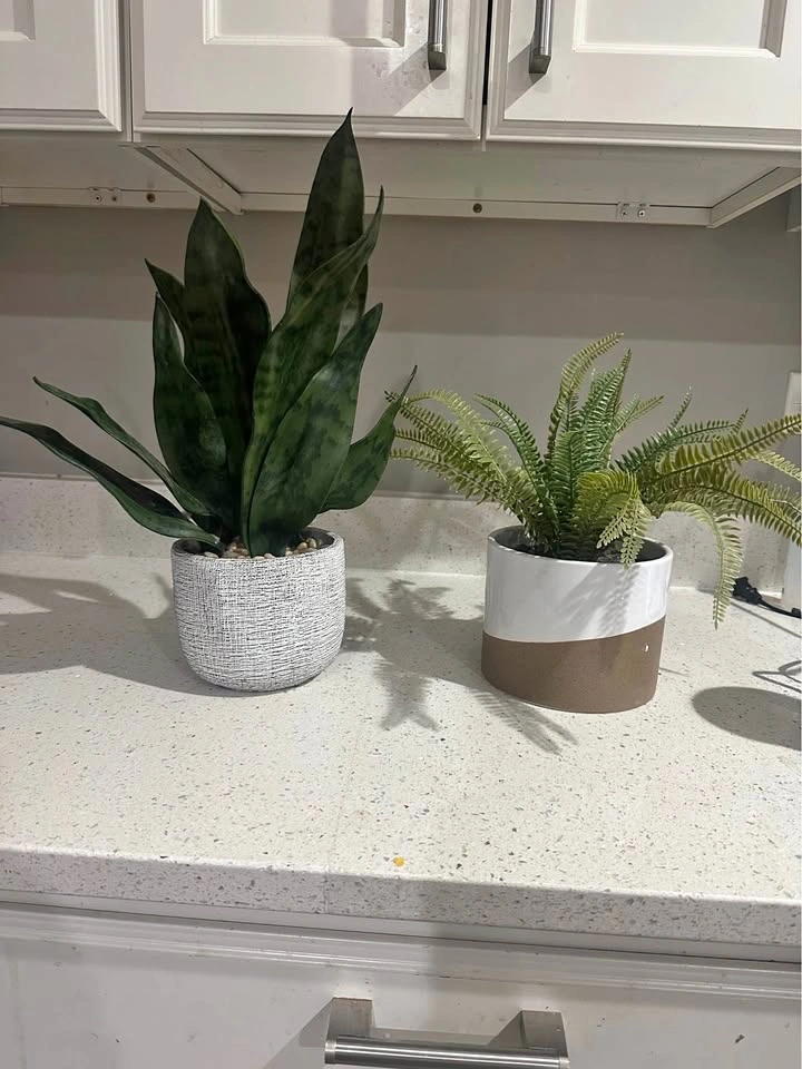 Artificial Potted Plants Set – Snake Plant & Fern