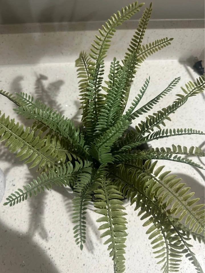 Artificial Potted Plants Set – Snake Plant & Fern - photo 2