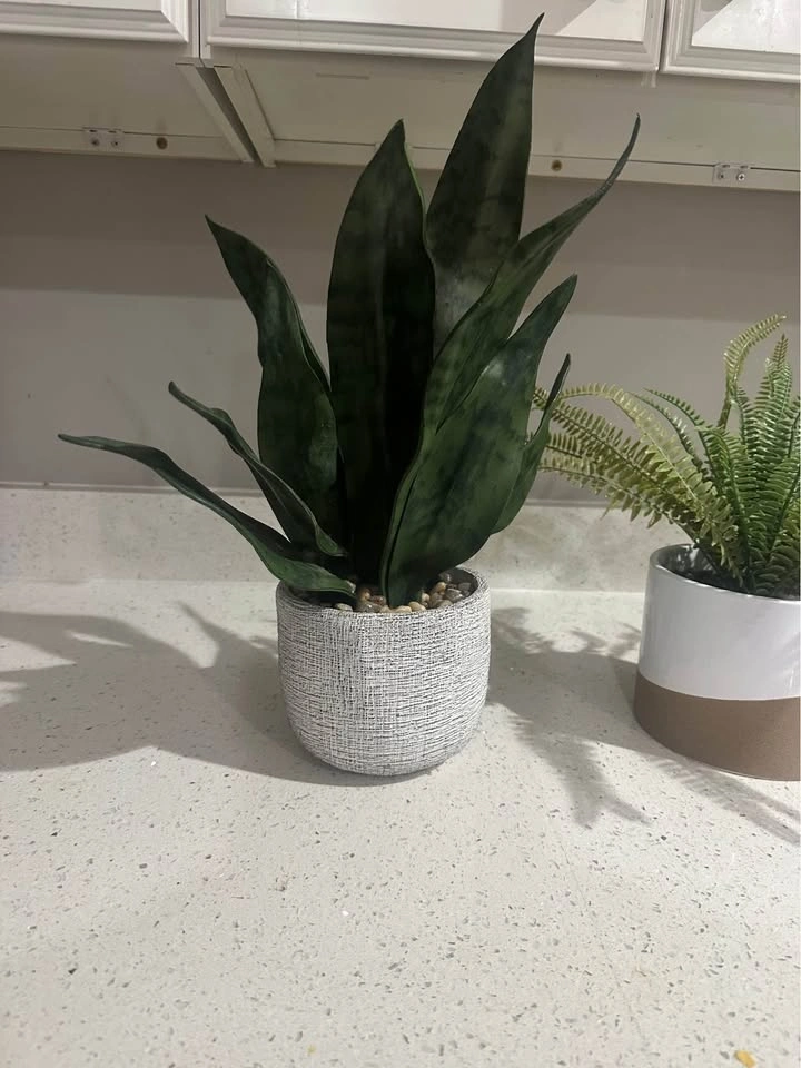 Artificial Potted Plants Set – Snake Plant & Fern - photo 3