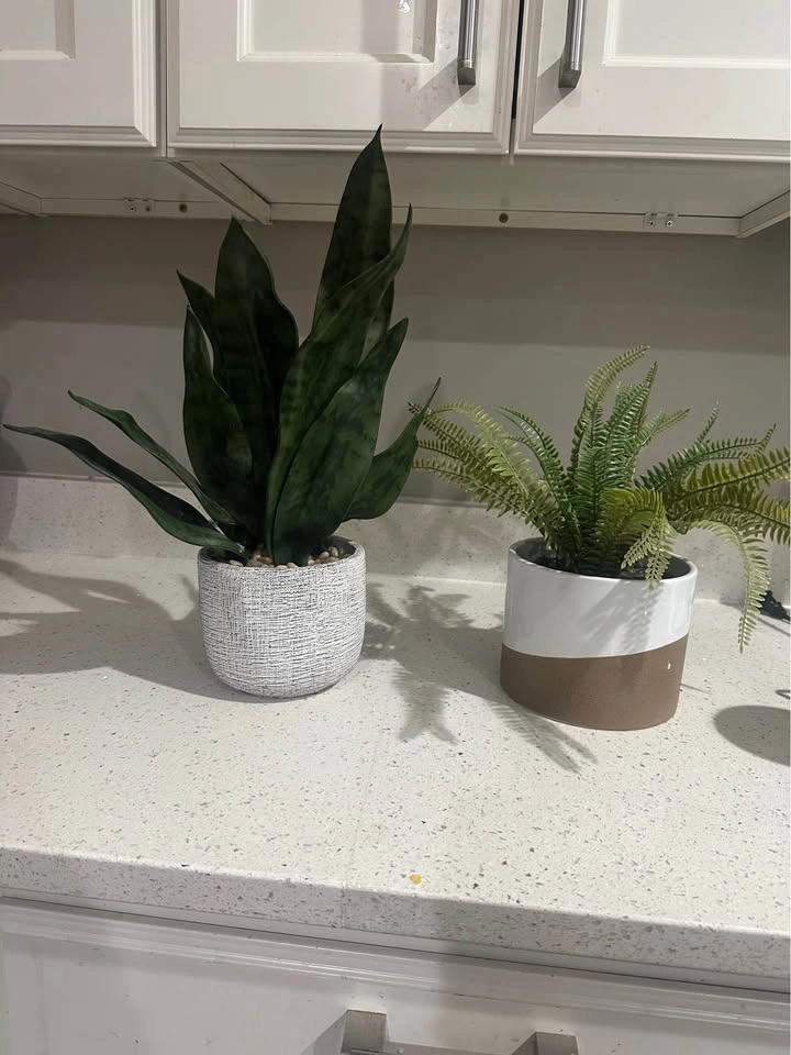 Artificial Potted Plants Set – Snake Plant & Fern - photo 4