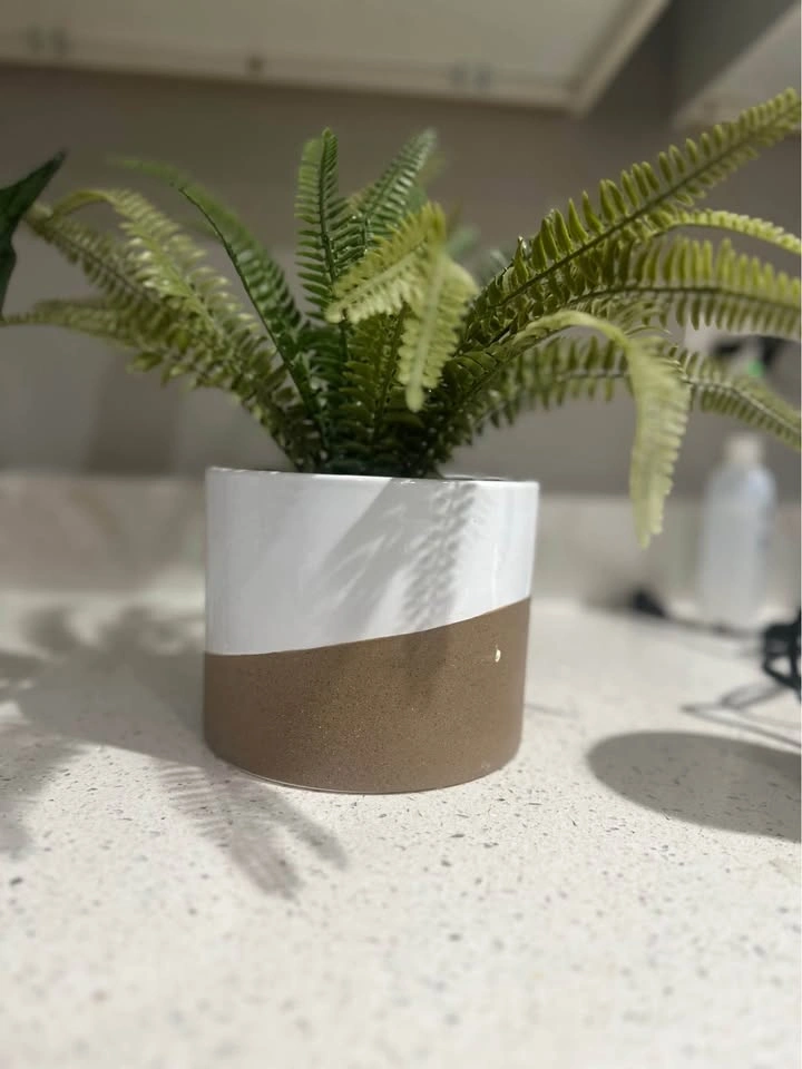 Artificial Potted Plants Set – Snake Plant & Fern - photo 5