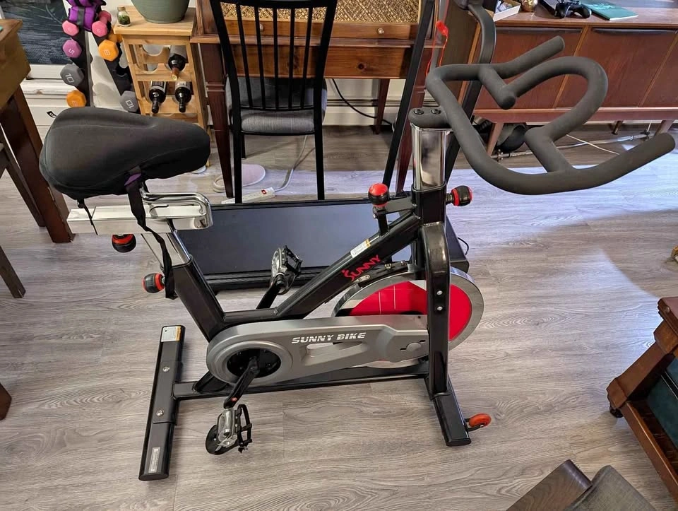 Sunny Exercise Bike