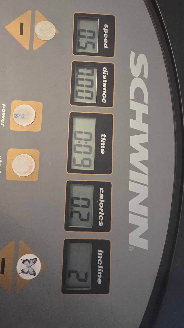 Schwinn Treadmill - photo 4