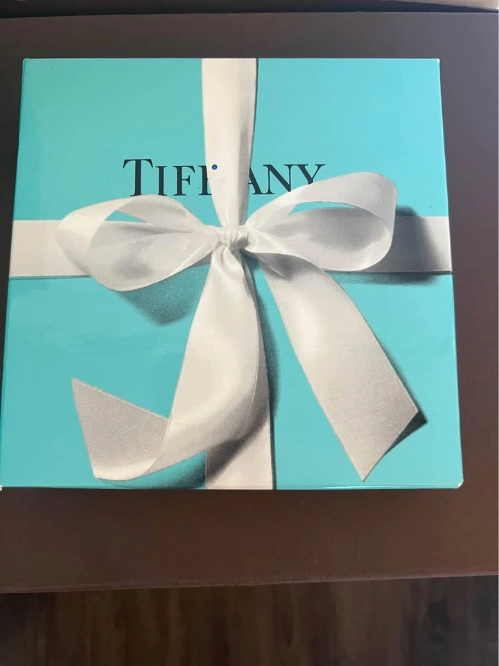 Tiffany Robins Egg Blue Storage/Gift Box - Des Plaines - photo 5