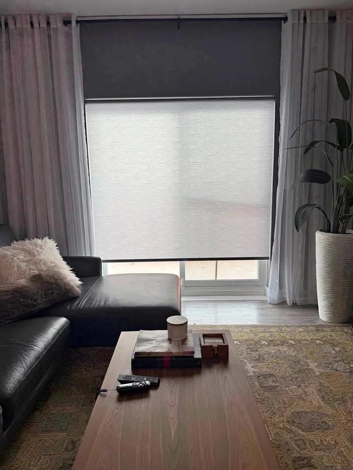 Roller Shade - Garber