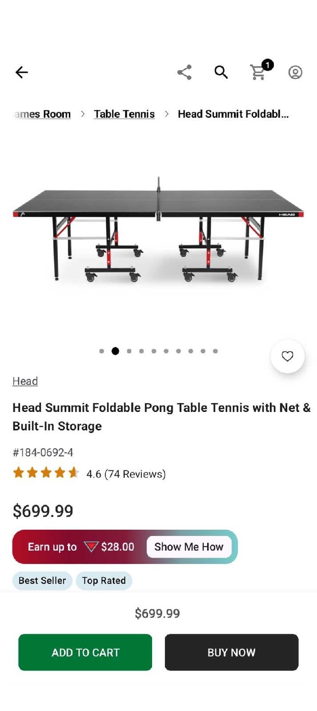 Head Pong Table