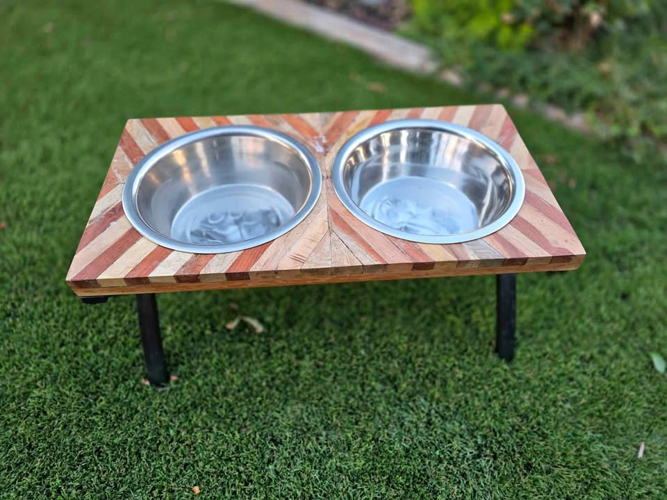Raised large dog water and food bowls